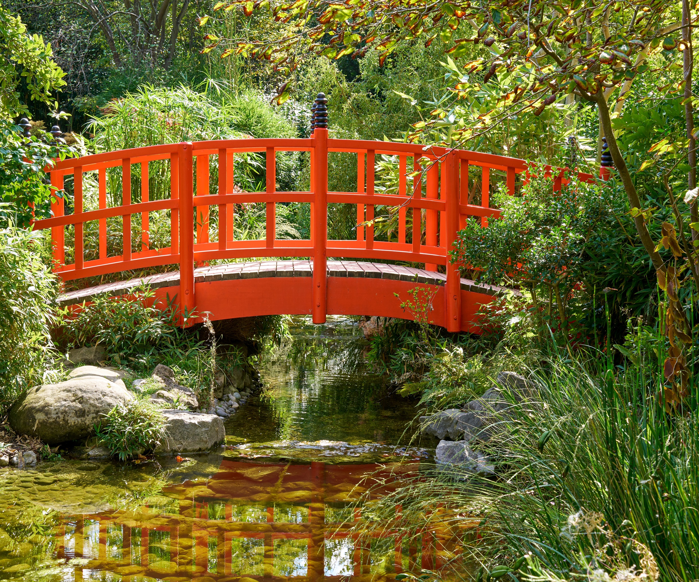 Red Bridge, Japanese garden, water garden