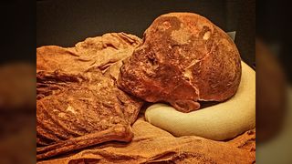 We see an ancient and fragile child mummy whose head is resting on a pillow. The mummy is a brownish color.