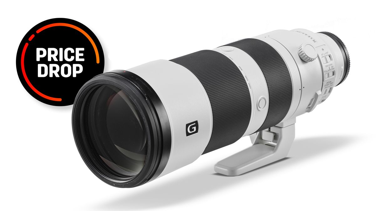 Tremendous low cost on Sony’s super-telephoto 200-600mm – simply £1,239!