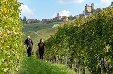 Sordo's Vigna Gabutti Vineyard