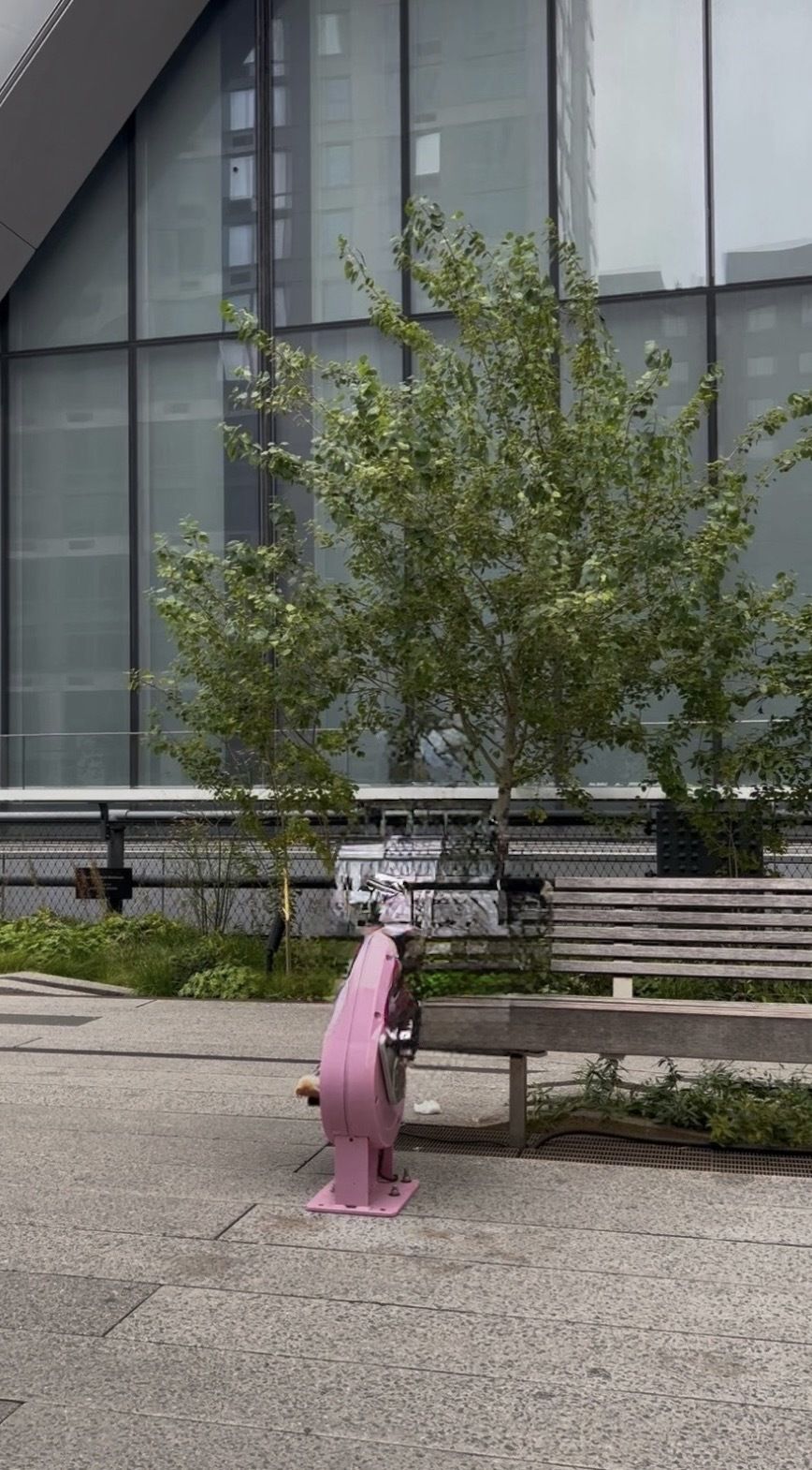 Assorted images demonstrating Clean Up in iOS 26