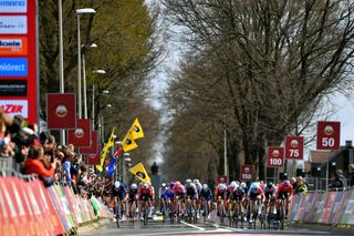 VALKENBURG NETHERLANDS APRIL 10 A general view of the peloton sprint to cross the finish line during the 8th Amstel Gold Race Ladies Edition 2022 a 1285km one day race from Maastricht to Valkenburg UCIWWT AGR2022 on April 10 2022 in Valkenburg Netherlands Photo by Luc ClaessenGetty Images