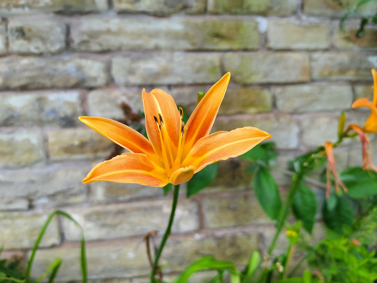 TCL 10 5G camera sample