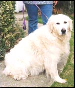 Stella_before.jpg