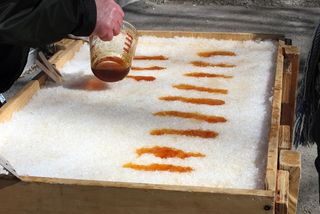 Hot maple syrup is poured onto snow to make a taffy-like candy.
