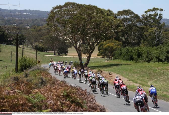 The peloton during during today's stage