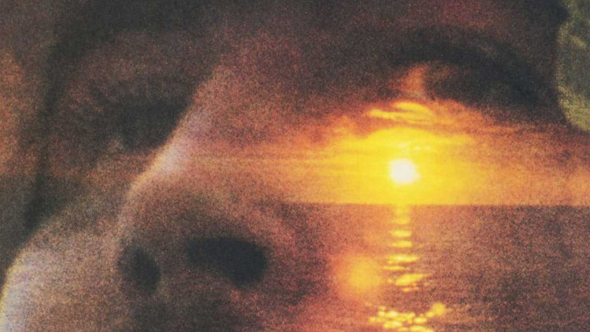 David Crosby: If Only I Could Remember My Name