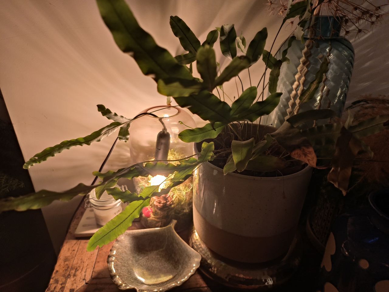 Oppo Find N2 Flip camera sample low light lamp