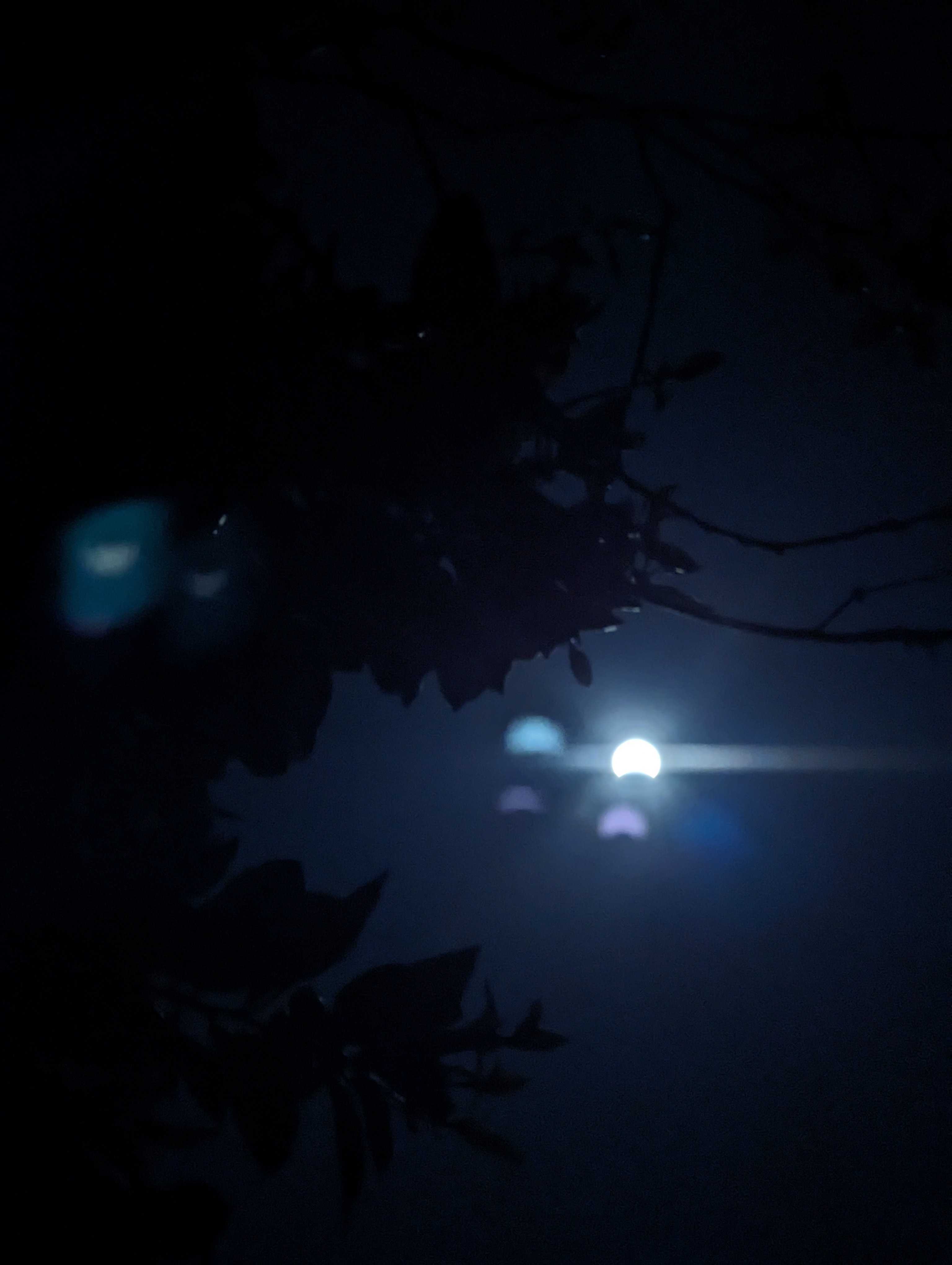 Мои друзья сделали эти фотографии затмения на свои пиксели, и я очень завидую.