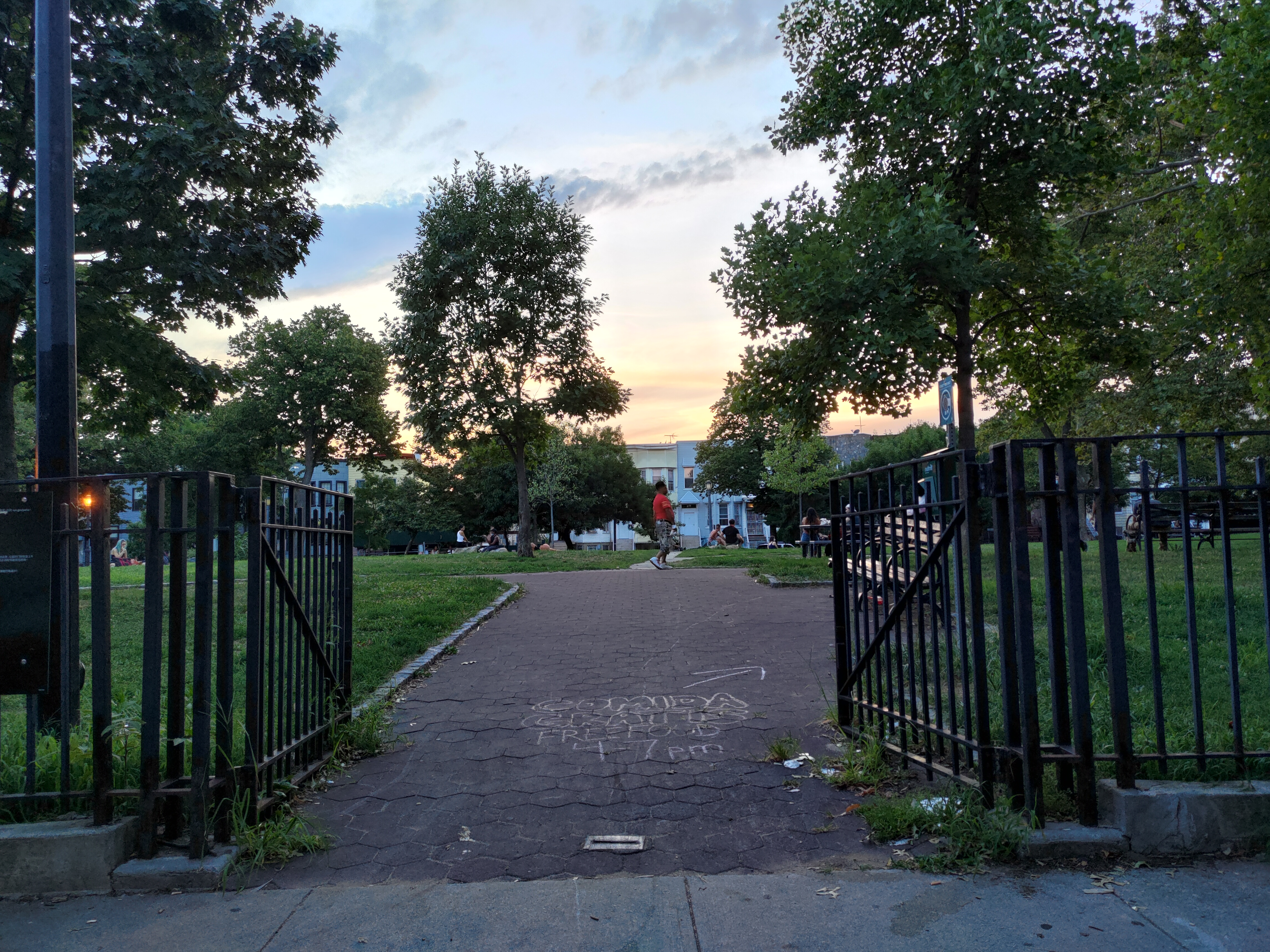 At twilight, notice the dark clusters of leaves