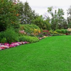 A green lawn and a flower bed separated by edging