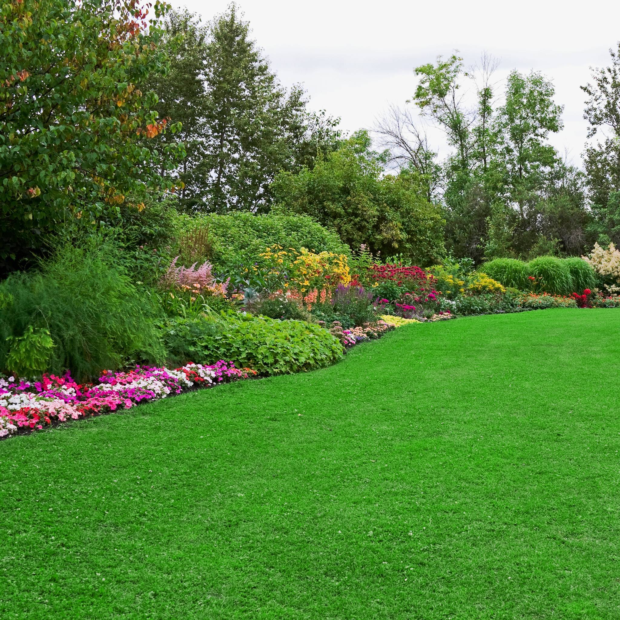 A green lawn and a flower bed separated by edging