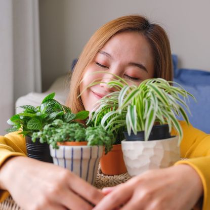 A smiling woman hugs her houseplatns