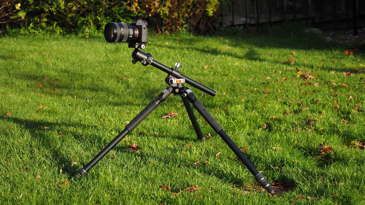 The best tripod in 2025 for photography | Digital Camera World image.