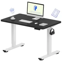 FlexiSpot  EN1 One-Piece (40 x 24 inch)