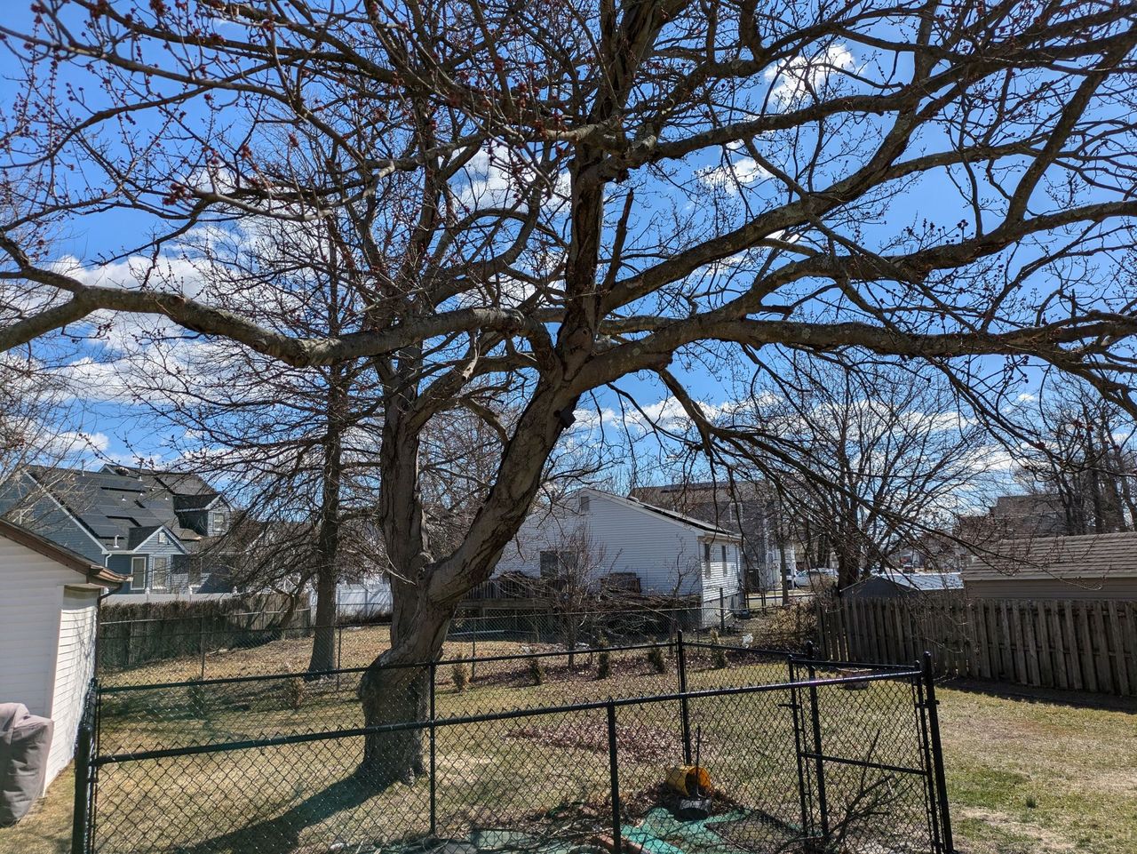 Google Pixel 8a daytime sample.