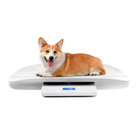 MindPet-Med Digital Pet Scale | Amazon