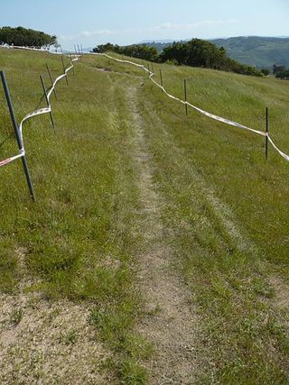 A narrower section of trail on the pro cross country course.