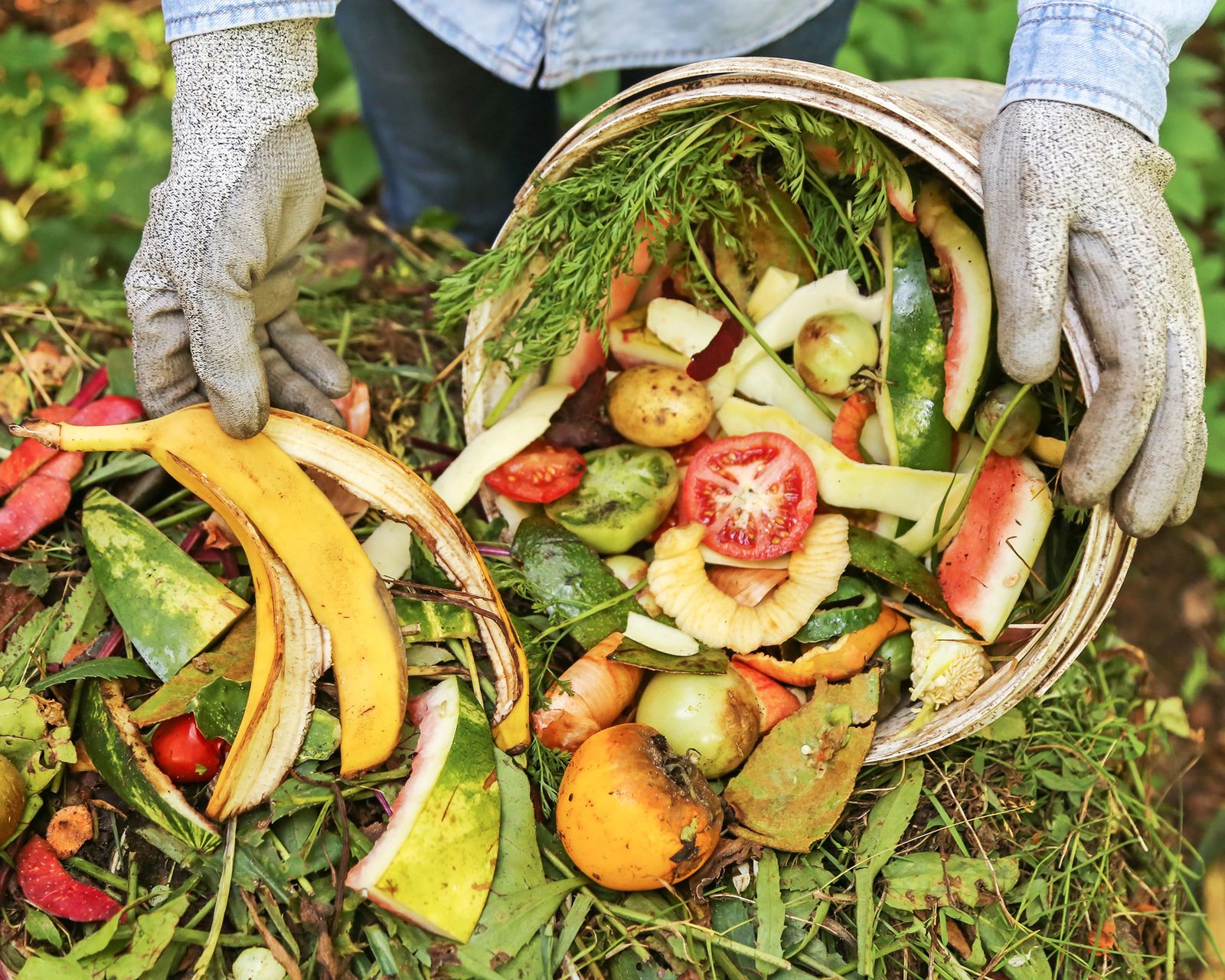 Types Of Composting Explained: Find The Best Method For You | Gardening ...