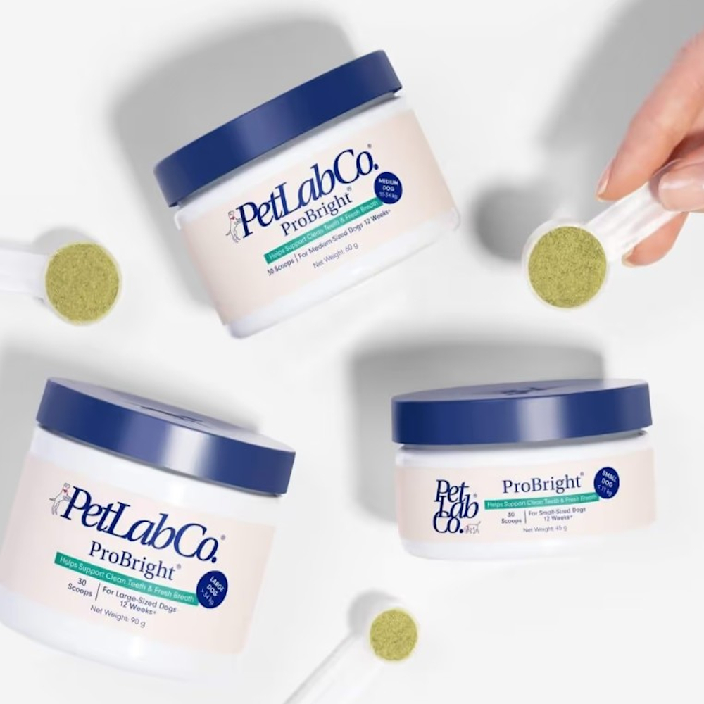 3 tubs of Petlab Co Pro Bright with 3 serving spoons, 1 from each tub