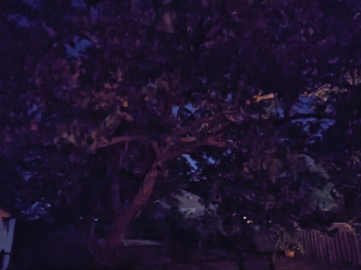 Motorola Razr Plus 2023 low light sample.