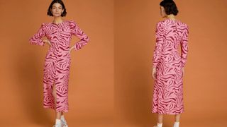 Omnes Marie Tea Dress in Pink Zebra