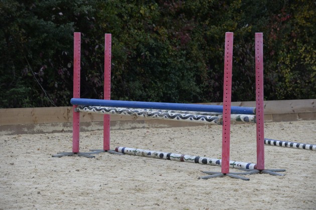 Diagonal pole