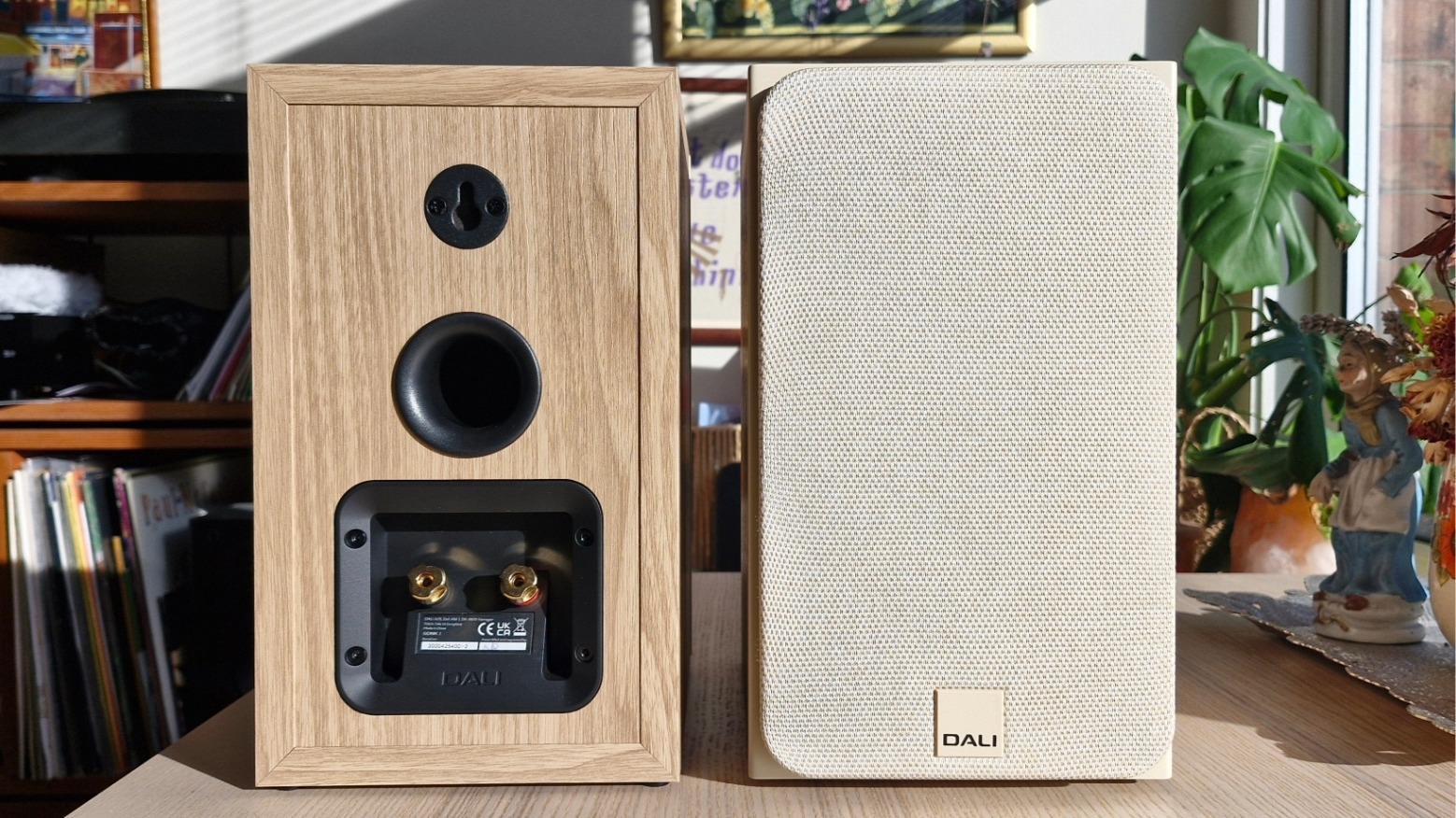 Dali Sonik 1 bookshelf passive speakers, one facing forwards with a grille attached and the other away to show the rear panel, on a wooden surface.
