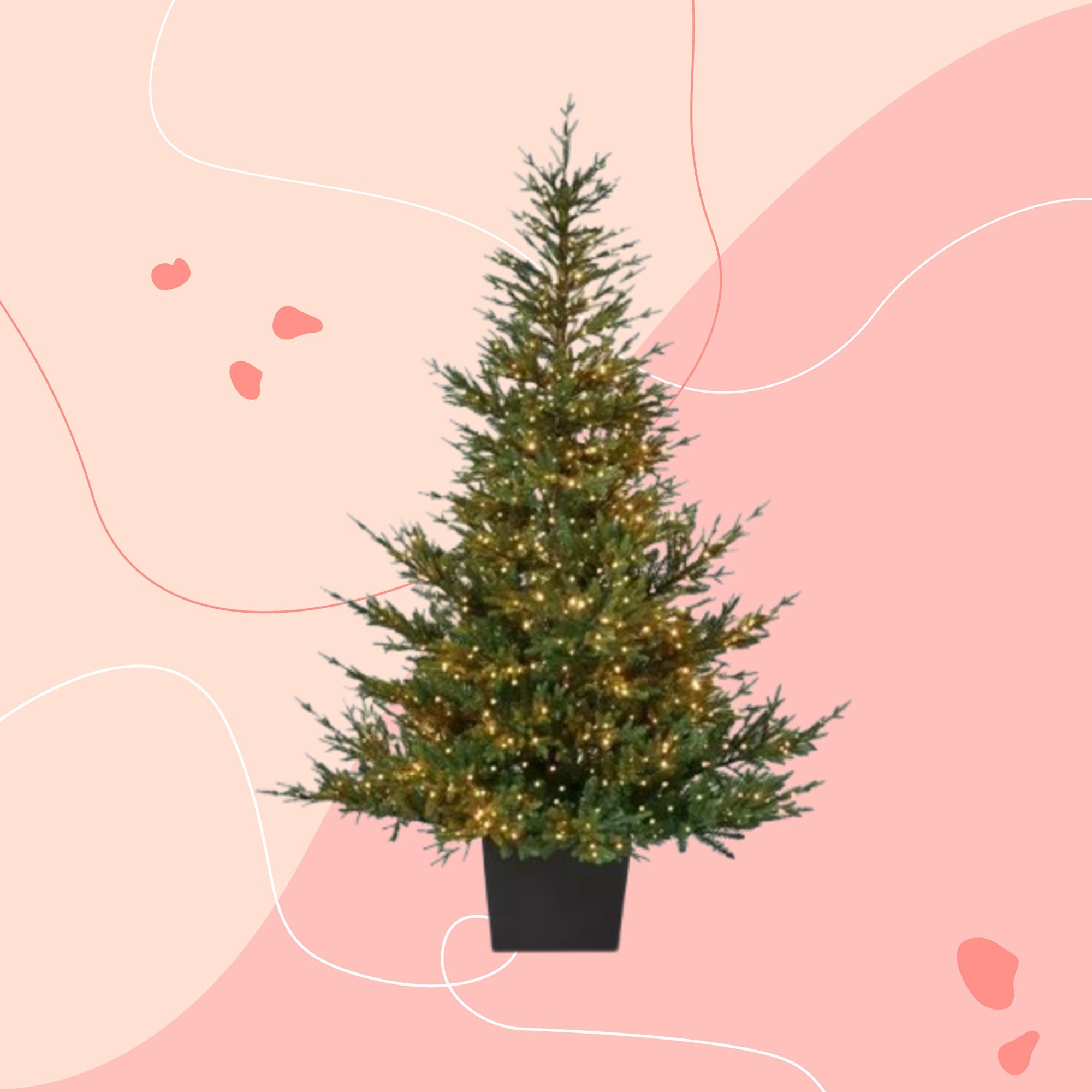 John Lewis Cotswold Christmas tree on a pink background