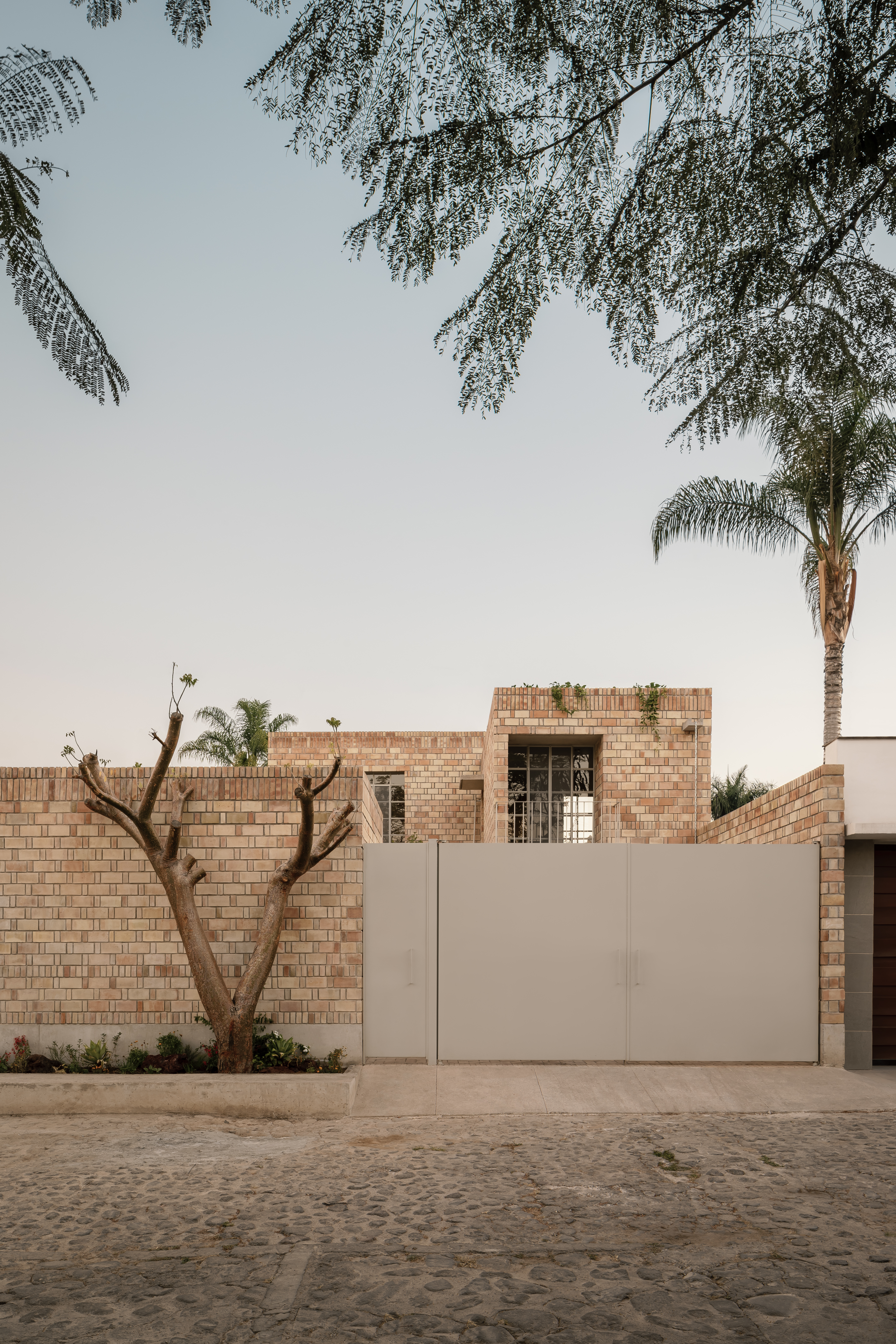 1_Los Guayabos_C&amp;eacute;sar B&amp;eacute;jar