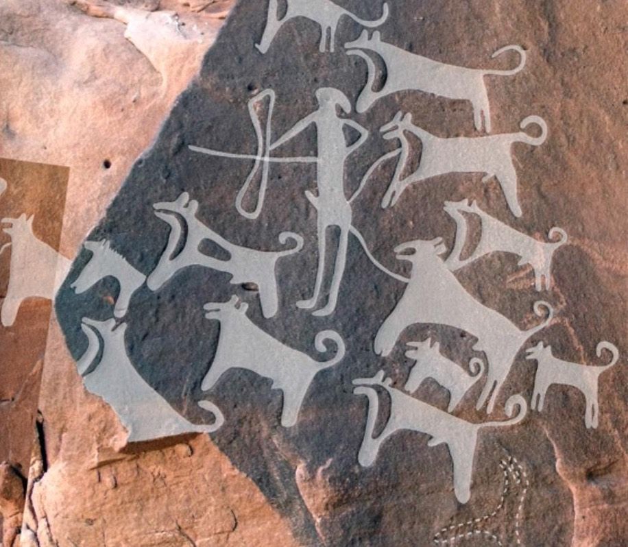 This composite image of a panel of rock art discovered in Saudi Arabia shows a hunter with 13 dogs (right side) and scene with a hunter, a large equid and eight dogs (left side). The top image shows the engravings traced in white. 