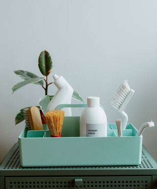 A set of cleaning products in a cleaning caddy