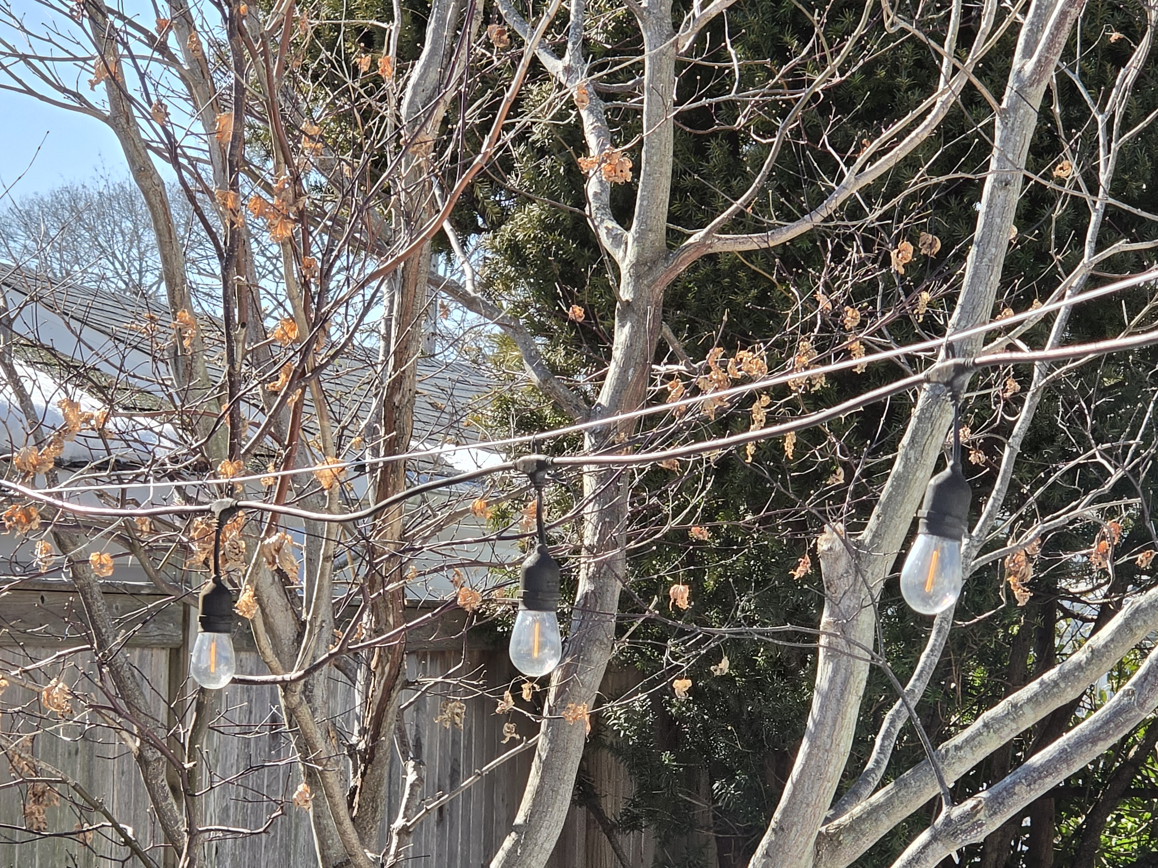 Samsung Galaxy S26 Ultra