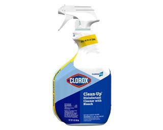 Best mold removers: Image of Clorox spray