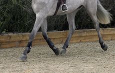 Emma McGlyn schooling Billy Manhattan