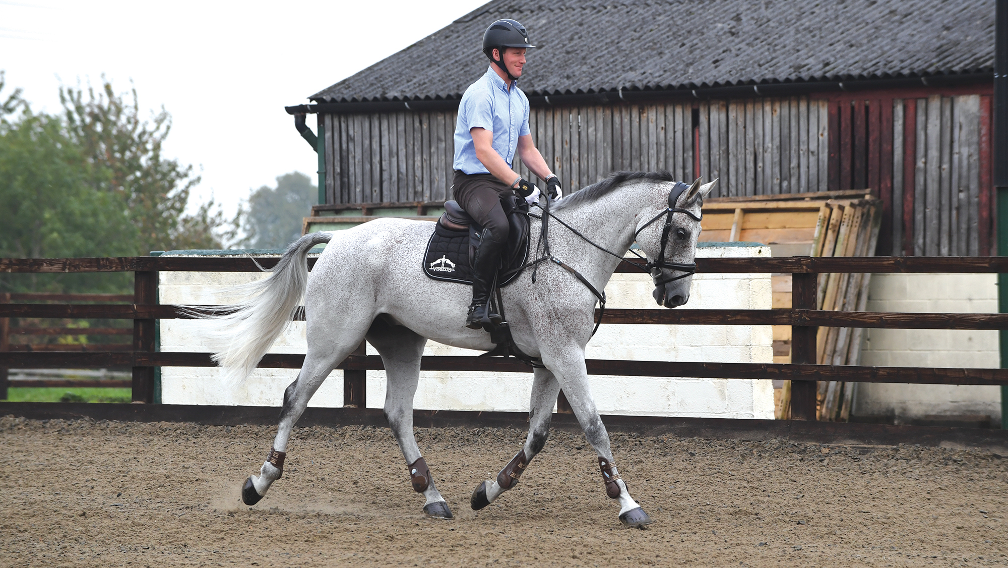 Oliver Townend riding Ballaghmor Class in trot in the arena at his home yard