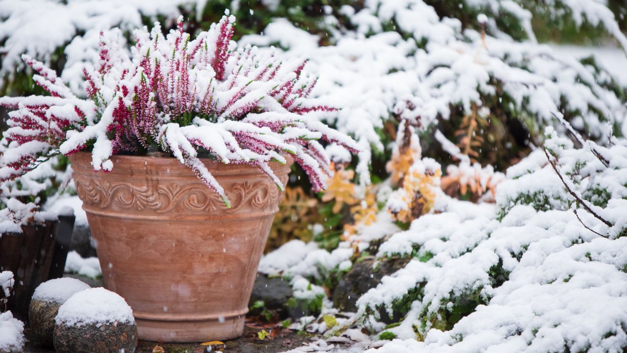 Farmers&#039; Almanac winter weather predictions