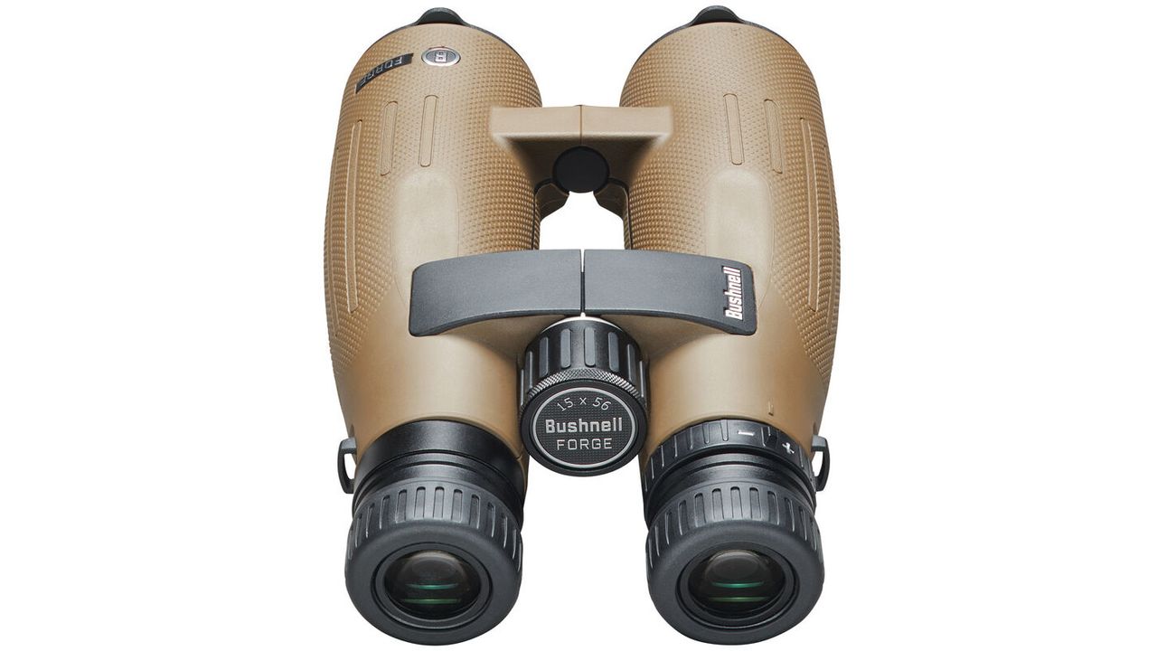 Bushnell Forge 15x56