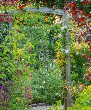 rustic wooden arch with climbing plants