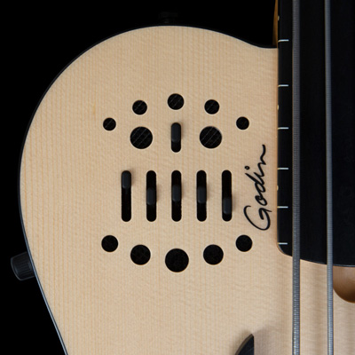 Godin fretless bass guitar
