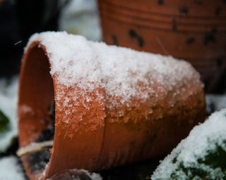 how to protect your plants from snow terracotta pot covered with snow
