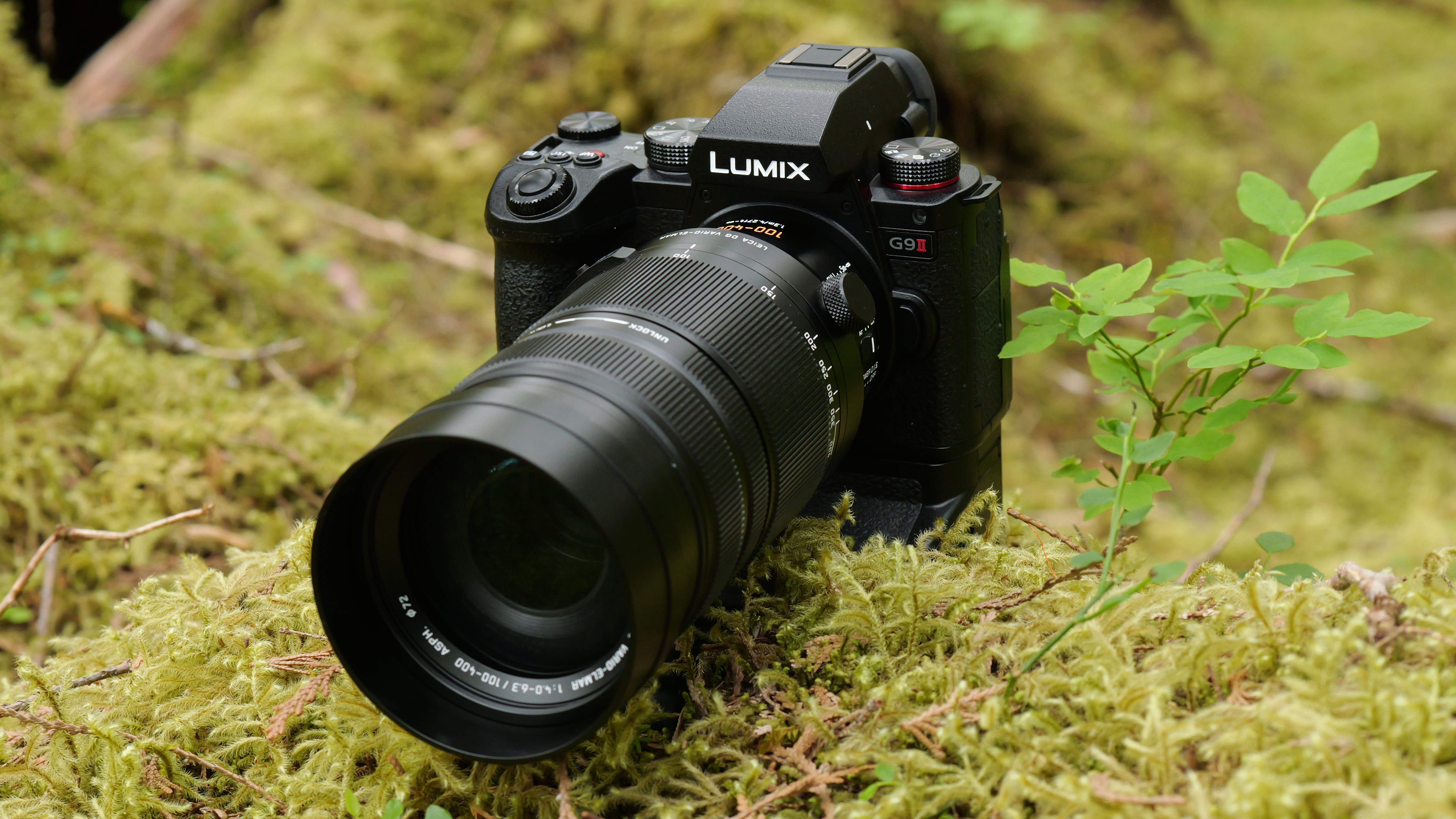 Lumix G9 II Review: MFT Upgrade For Professional Wildlife Photography