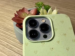 Pela Sage Green Hearts Iphone 13 Pro Case Camera