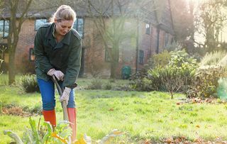 Winter gardening