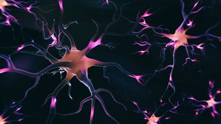 3D illustration of neurons in pink, purple and orange against a black background