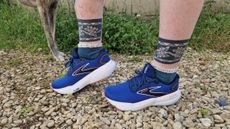 A pair of blue Brooks Glycerin 21, modelled on a gravel path. In the background we see grass and a dog's legs.