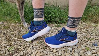 A pair of blue Brooks Glycerin 21 shoes being tested on a gravel path. In the background we see grass and a greyhound's skinny legs and white paws.