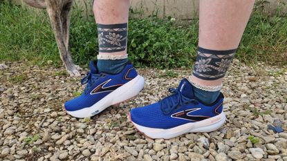 A pair of blue Brooks Glycerin 21, modelled on a gravel path. In the background we see grass and a dog&#039;s legs.