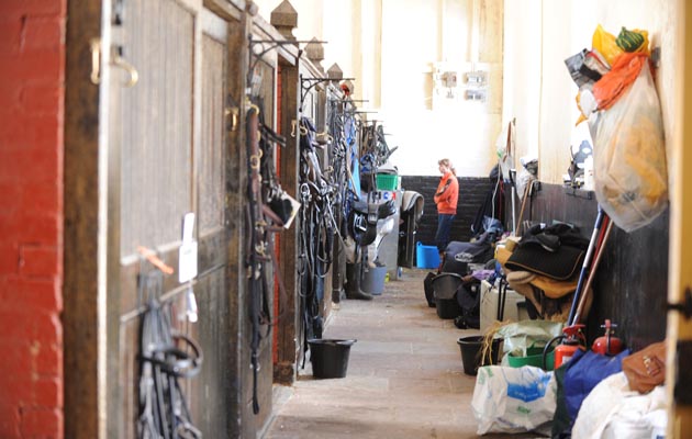 stables3.jpg