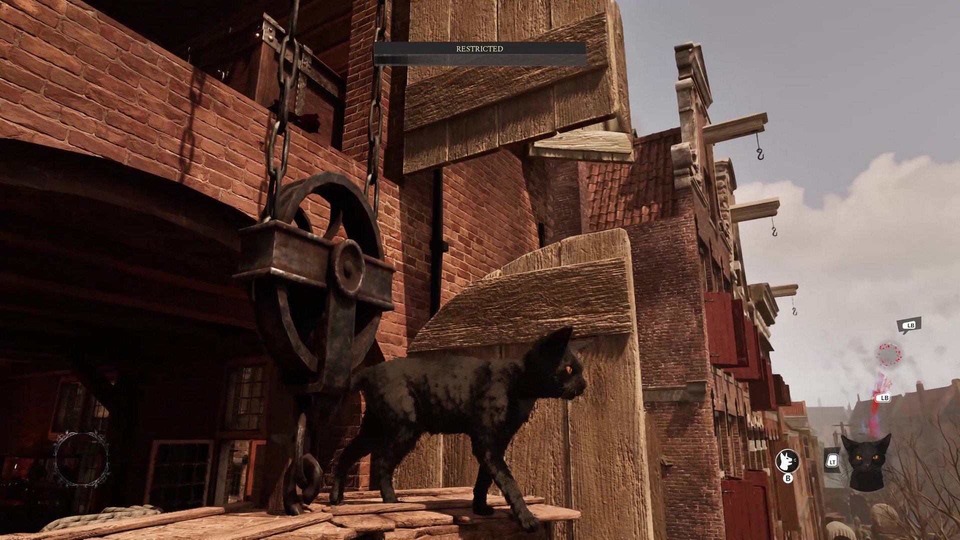 Aaron, a black cat, stands outside a building high up on a wooden platform in 1666: Amsterdam